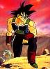 bardock00.jpg