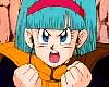 bulma04.jpeg