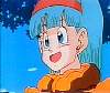 bulma05.jpeg