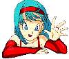bulma08.jpeg