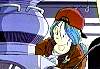 bulma10.jpeg