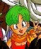 bulma12.jpeg
