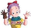 bulma13.jpeg
