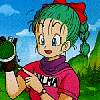 bulma14.jpeg